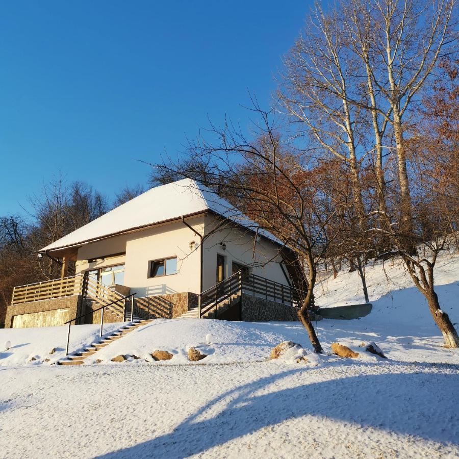 Hotel Provence Suceava Extérieur photo