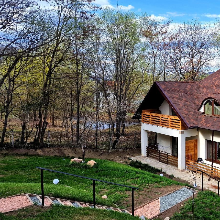 Hotel Provence Suceava Extérieur photo