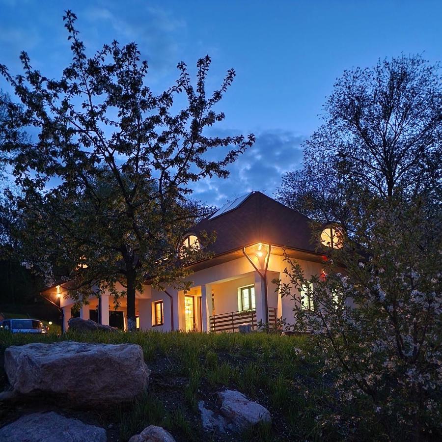 Hotel Provence Suceava Extérieur photo