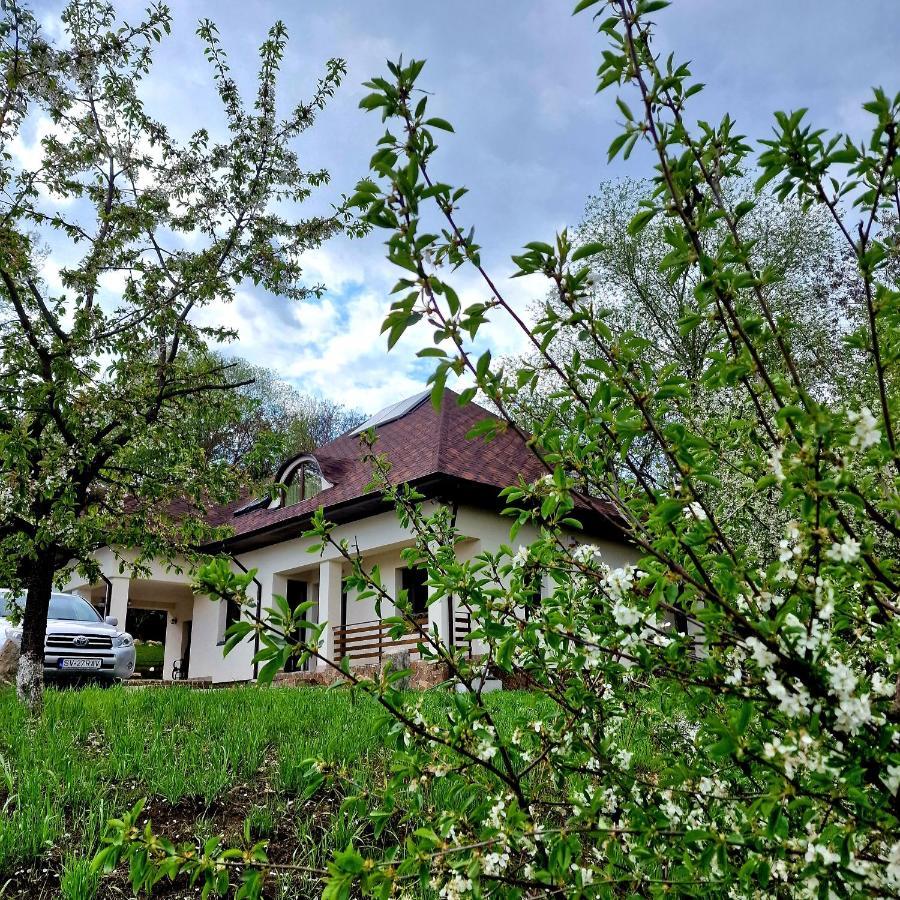 Hotel Provence Suceava Extérieur photo