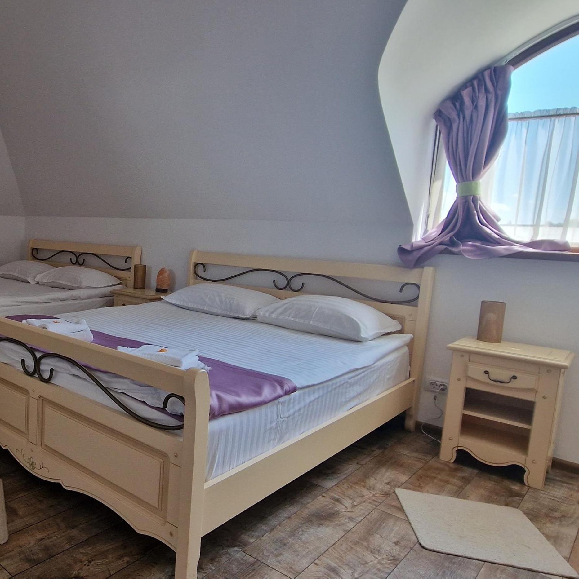 Hotel Provence Suceava Extérieur photo