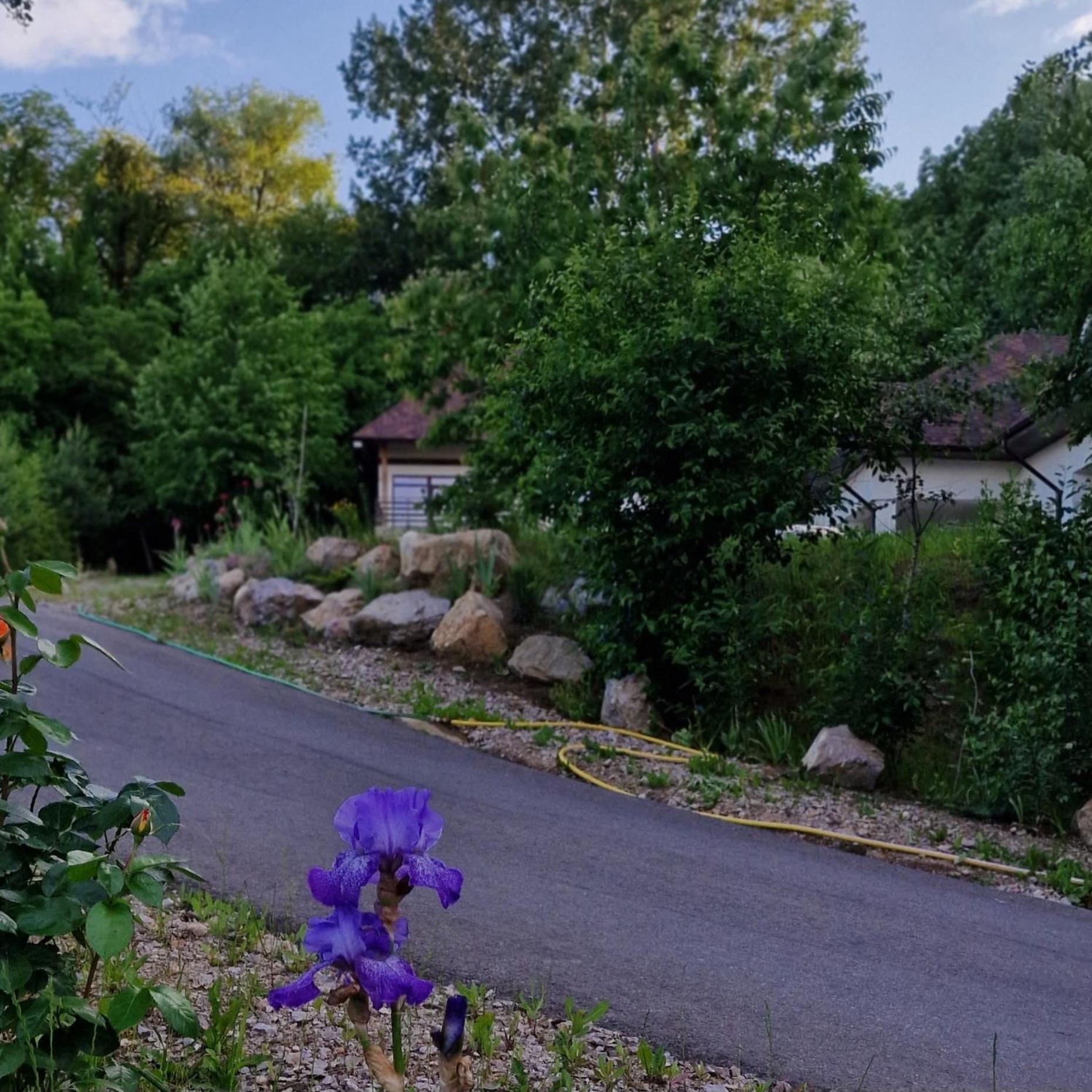 Hotel Provence Suceava Extérieur photo