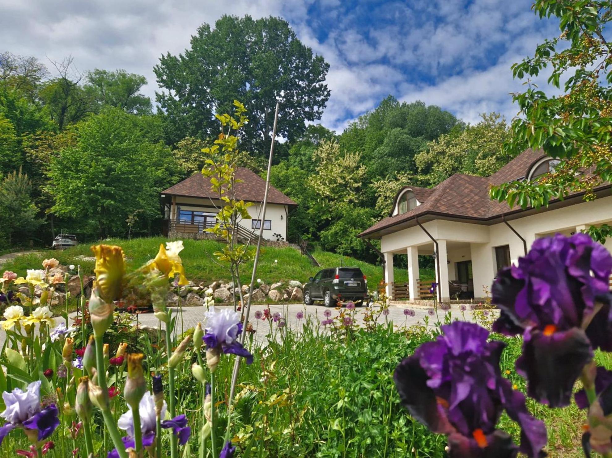 Hotel Provence Suceava Extérieur photo